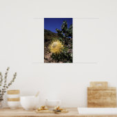 Waboom Protea (Protea Nitidia), Langeberg Poster (Küche)