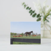 Wachdienst Postkarte (Stehend Vorderseite)