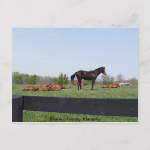 Wachdienst Postkarte