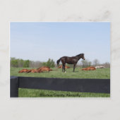 Wachdienst Postkarte (Vorderseite)