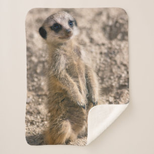 Wache-in-Training Sherpa Decke Sherpadecke