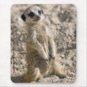 Wache, wenn Mousemat ausgebildet wird Mousepad (Vorne)