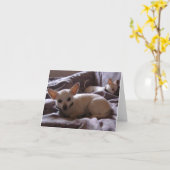 Wachen Sie Chihuahua-Anmerkungs-Karte auf Karte (Gelbe Blume)