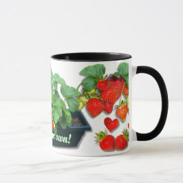 WACHEN STRAWBERRIES ~ Tasse. Tasse