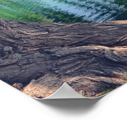 Wachen Willow Tree 20" x 16" Poster Paper (Matte) (Ecke)