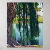 Wachen Willow Tree 20" x 16" Poster Paper (Matte) (Vorne)