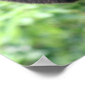 Wachende Affe Poster (Ecke)