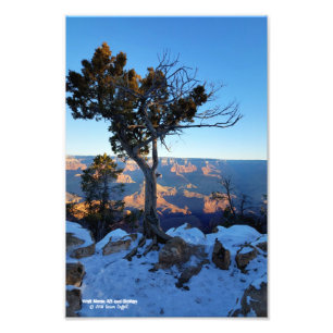 Wacholderbaum im Schnee bei Sonnenaufgang im Grand Fotodruck
