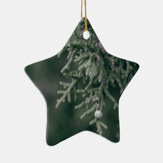 Wacholderbeeren Keramikornament (Rechts)