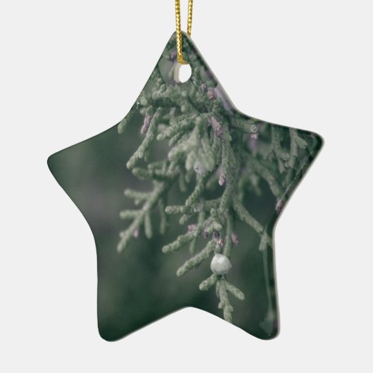 Wacholderbeeren Keramikornament (Links)