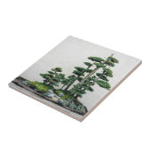 Wacholderbusch-Bonsais-Wald Fliese (Seite)