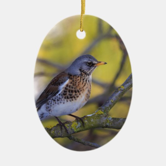 Wacholderdrossel Keramik Ornament (Vorne)