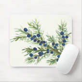 Wacholderzwirn mit blauen Beeren Mousepad (Mit Mouse)