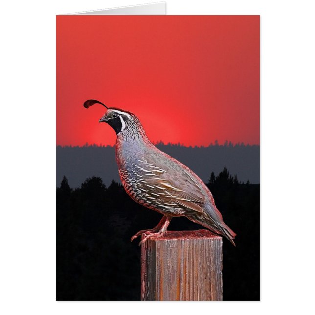 WACHPOSTEN AM SONNENUNTERGANG (Vorne)
