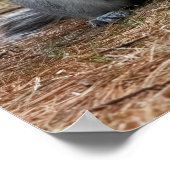 Wachsam Poster (Ecke)