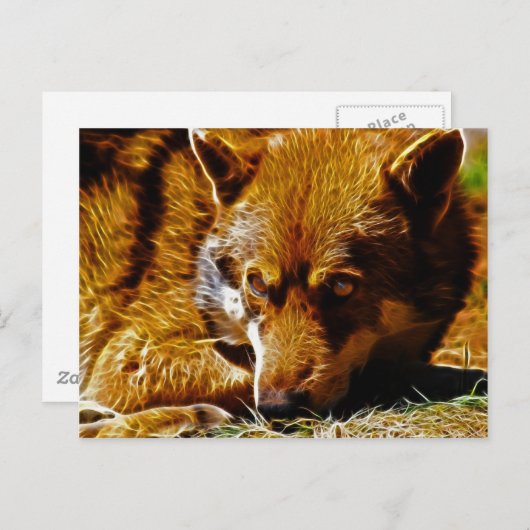 wachsam postkarte (Vorne/Hinten)