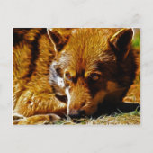 wachsam postkarte (Vorderseite)