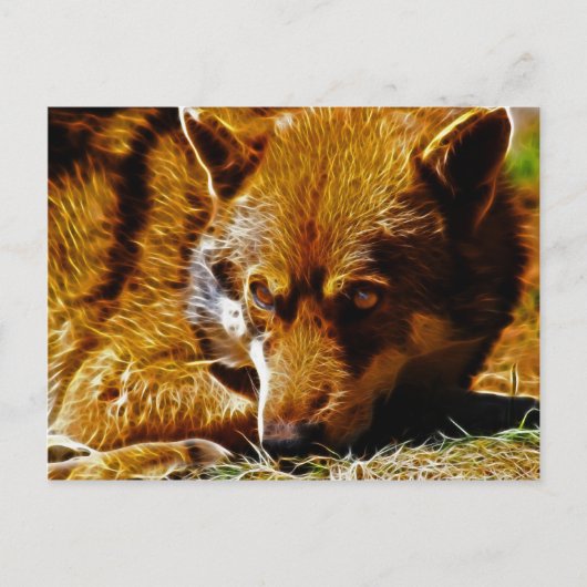 wachsam postkarte (Vorderseite)