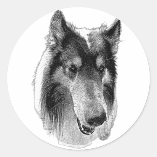 Wachsam & Still – Collie Runder Aufkleber (Vorderseite)