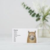 Wachsame Alpaka-Visitenkarte Visitenkarte (Stehend Vorderseite)