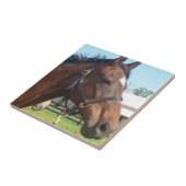 Wachsame arabische Pferdefliese Fliese (Seite)