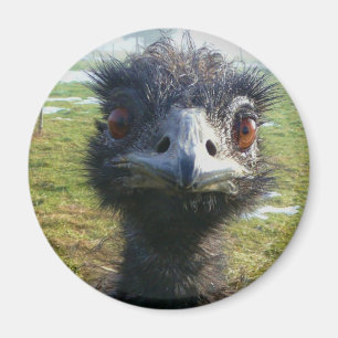 Wachsame Augen EMU Magnet