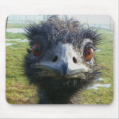 Wachsame Augen EMU Mousepad (Vorne)