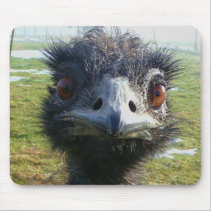 Wachsame Augen EMU Mousepad