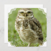Wachsame Eulen-Einladungen Einladung (Vorne/Hinten)