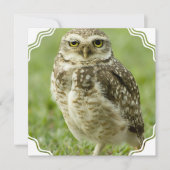 Wachsame Eulen-Einladungen Einladung (Vorderseite)