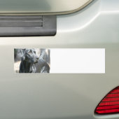 Wachsame schwarze Labrador-Autoaufkleber Autoaufkleber (Auf Auto)