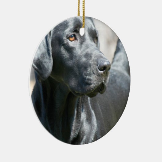 Wachsame schwarze Labrador Keramikornament (Rechts)
