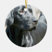 Wachsame schwarze Labrador Keramikornament (Vorne)