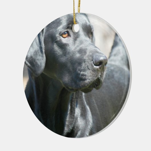 Wachsame schwarze Labrador Keramikornament (Links)