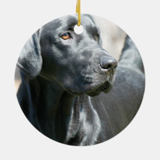 Wachsame schwarze Labrador Keramikornament (Hinten)