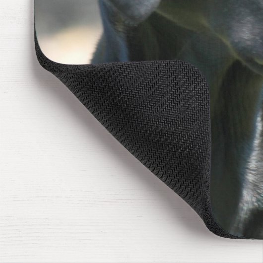 Wachsame schwarze Labrador-Mausunterlage Mousepad (Ecke)