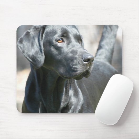 Wachsame schwarze Labrador-Mausunterlage Mousepad (Mit Mouse)