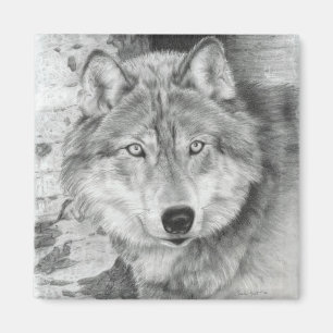 Wachsamer Augen-Wolf-Magnet Magnet