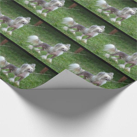 Wachsamer chinesischer Hund mit Haube Geschenkpapier (Ecke)