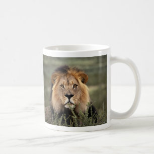 Wachsamer Löwe Kaffeetasse