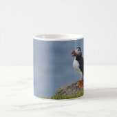 Wachsamer Papageientaucher Kaffeetasse (Mittel)