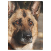 Wachsamer Schäferhund Klemmbrett (Rückseite)