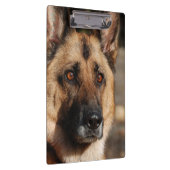 Wachsamer Schäferhund Klemmbrett (Rechts)