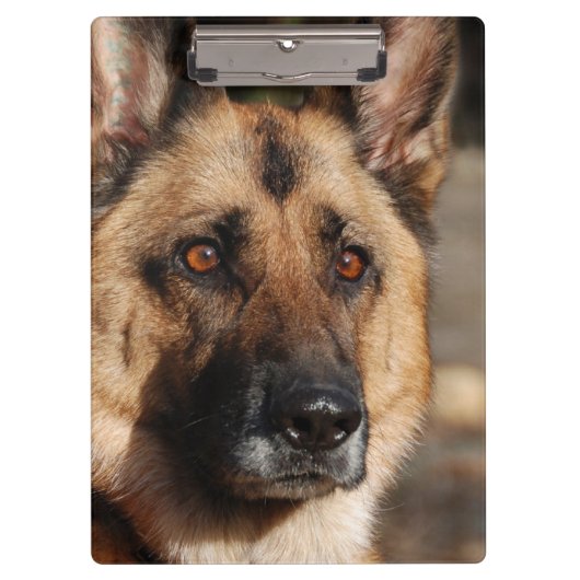 Wachsamer Schäferhund Klemmbrett (Vorderseite)