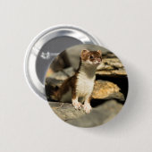Wachsamer Weasel Button (Vorne & Hinten)
