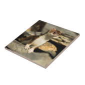 Wachsamer Weasel Fliese (Seite)