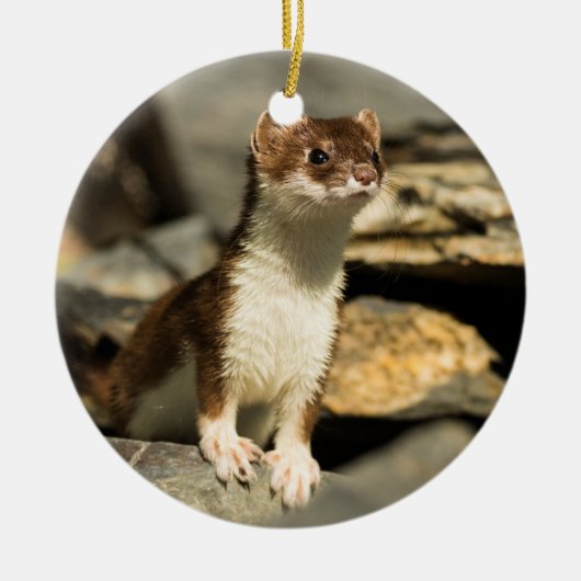 Wachsamer Weasel Keramikornament (Vorne)
