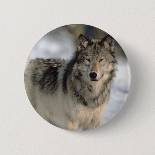 Wachsamer Wolf Button (Vorderseite)