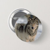 Wachsamer Wolf Button (Vorne & Hinten)