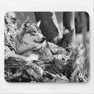 wachsamer Wolf Mousepad